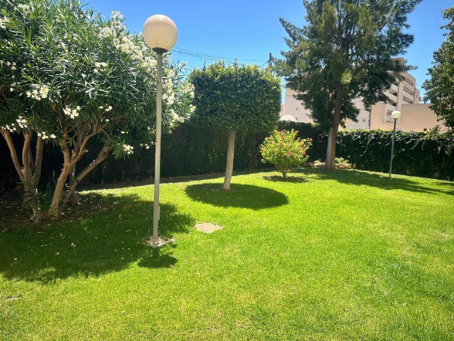 Homely Joven Pura Appartamento Torrevieja